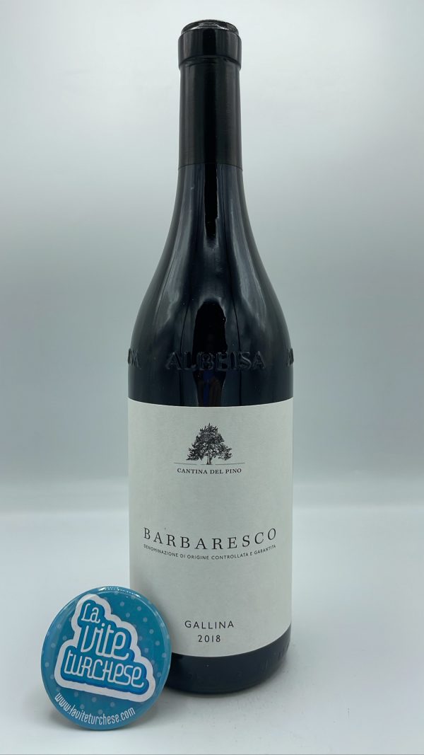 Cantina del Pino – Barbaresco Gallina prodotto nella migliore vigna di Neive, esposta a sud, vinificato per 24 mesi in botti grandi.