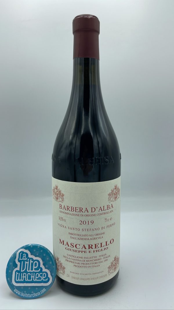 Giuseppe Mascarello - Barbera d'Alba Vigna Santo Stefano di Perno produced in the vineyard of the same name located on the eastern side of Monforte d'Alba.
