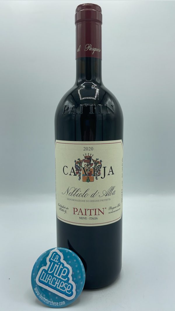 Paitin - Nebbiolo d'Alba Ca Veja produced in the hills around the town of Alba, aged in large Slavonian barrels for 2 years.