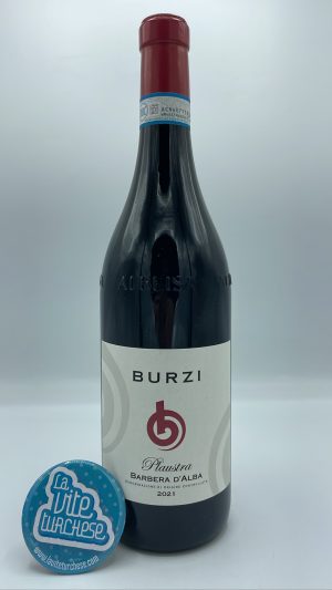 Alberto Burzi - Barbera d'Alba Plaustra produced in La Morra in the hamlet of Santa Maria, vinified and aged in steel tanks.
