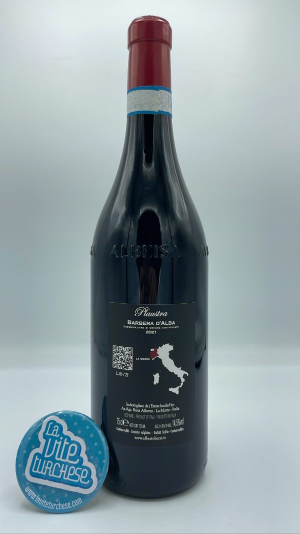 Alberto Burzi - Barbera d'Alba Plaustra produced in La Morra in the hamlet of Santa Maria, vinified and aged in steel tanks.