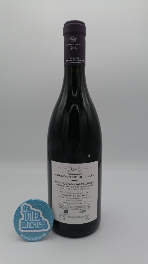 Chandon de Briailles - Pernand Vergelesses Premier Cru Île des Vergelesses produced with 40-year-old plants, aged for 18 months in barrique.