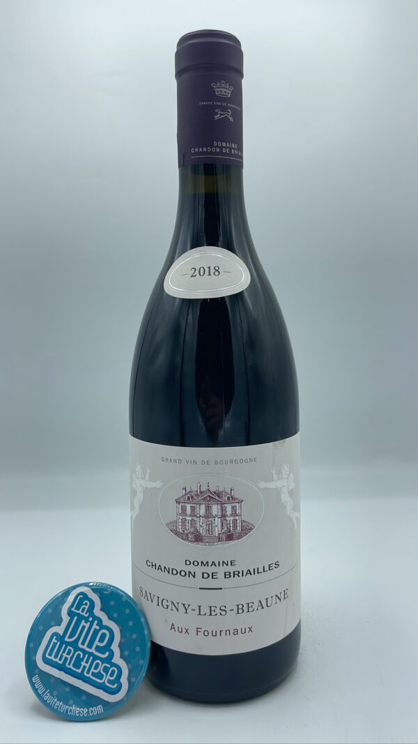 Chandon de Briailles - Savigny Les Beaune Aux Fournaux prodotto nella parte più bassa della parcella Aux Fournaux, invecchiato per 18 mesi in barrique.