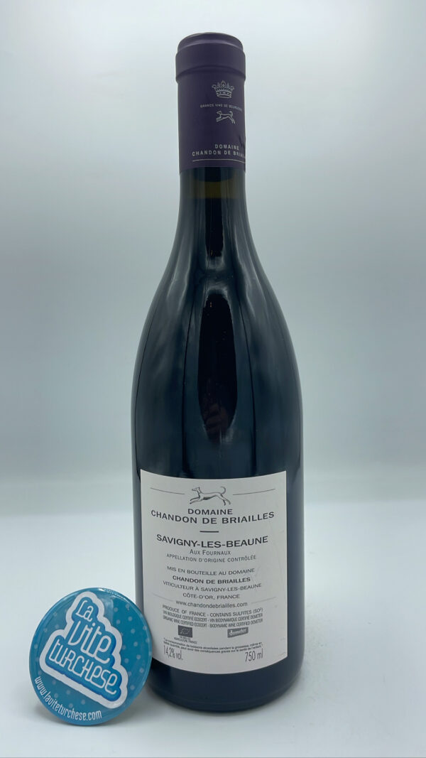 Chandon de Briailles - Savigny Les Beaune Aux Fournaux - back Chandon de Briailles - Savigny Les Beaune Aux Fournaux produced in the lowest part of the Aux Fournaux parcel, aged for 18 months in barrique.