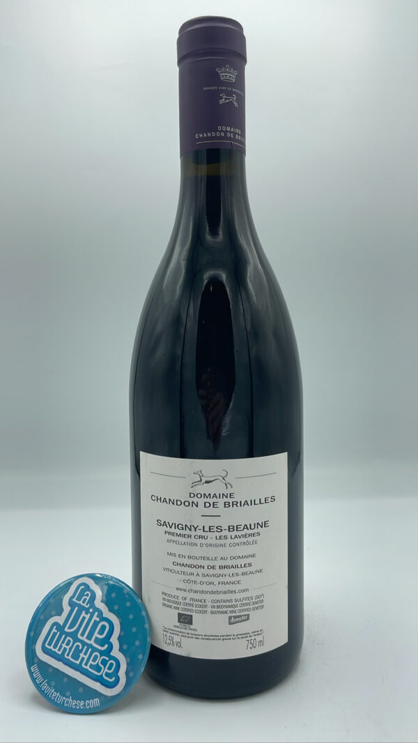 Chandon de Briailles - Savigny Les Beaune Premier Cru Les Lavières prodotto con piante del 1954, invecchiato per 24 mesi in barrique.