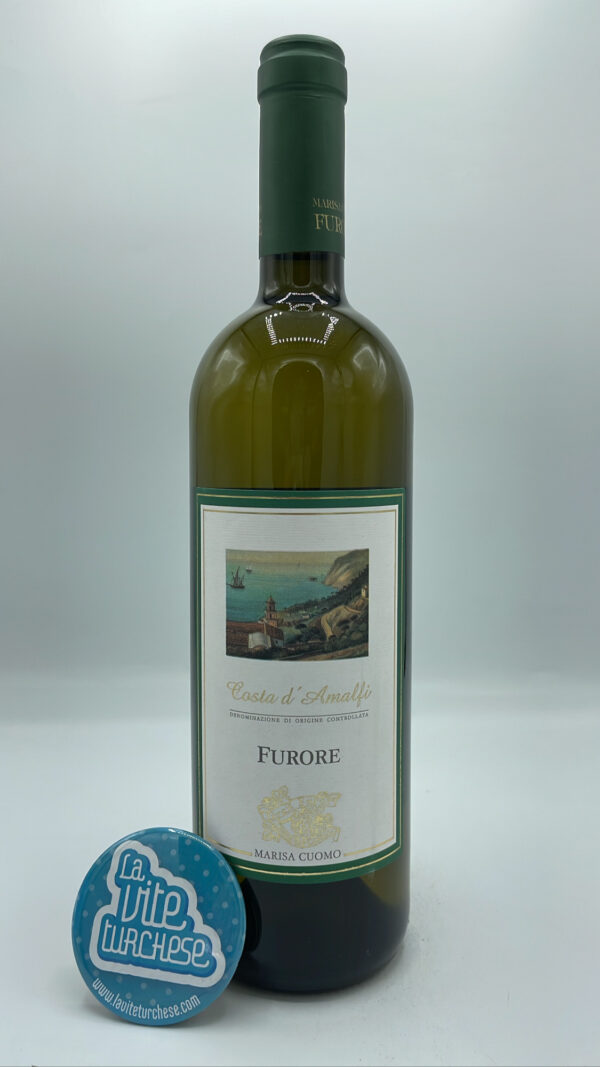 Marisa Cuomo – Furore Bianco prodotto in costiera Amalfitana sui faraglioni di Furore, con uva Falanghina e Biancolella, vinificato in vasche di acciaio.