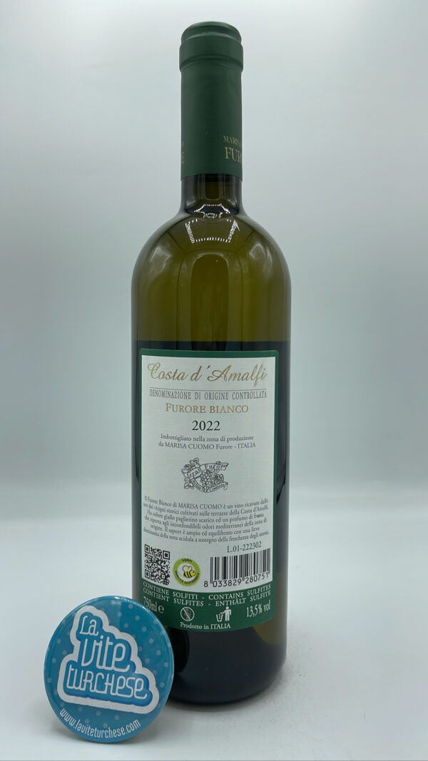 Marisa Cuomo – Furore Bianco – 2022 - back Marisa Cuomo - Furore Bianco produced on the Amalfi Coast on the stacks of Furore, with Falanghina and Biancolella grapes, vinified in steel tanks.
