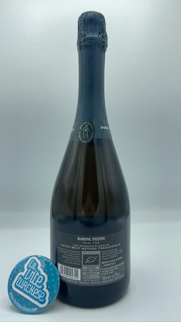 Barone Pizzini – Tesi Tre Extra Brut - back Barone Pizzini – Tesi Tre Extra Brut prodotto in Franciacorta principalmente con l'antico vitigno autoctono Erbamat e Chardonnay e Pinot Nero.