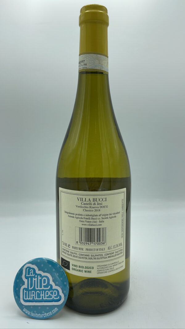 Villa Bucci – Castelli di Jesi Verdicchio Riserva – 2018 - back Villa Bucci - Castelli di Jesi Verdicchio Riserva represents the highest expression of the Verdicchio grape variety from the Marche region, aged for 18 months in barrel.