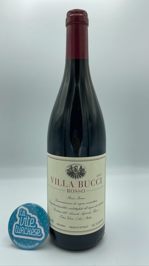Villa Bucci – Rosso Piceno prodotto nelle Marche con 70% Montepulciano e 30% Sangiovese, invecchiato per 12 mesi in botti grandi.