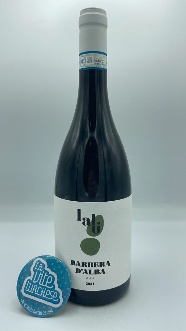 Lalu' - Barbera d'Alba - 2021 produced in the San Sebastiano hamlet of Monforte d'Alba in 2000 bottles, aged in cement and barrique.