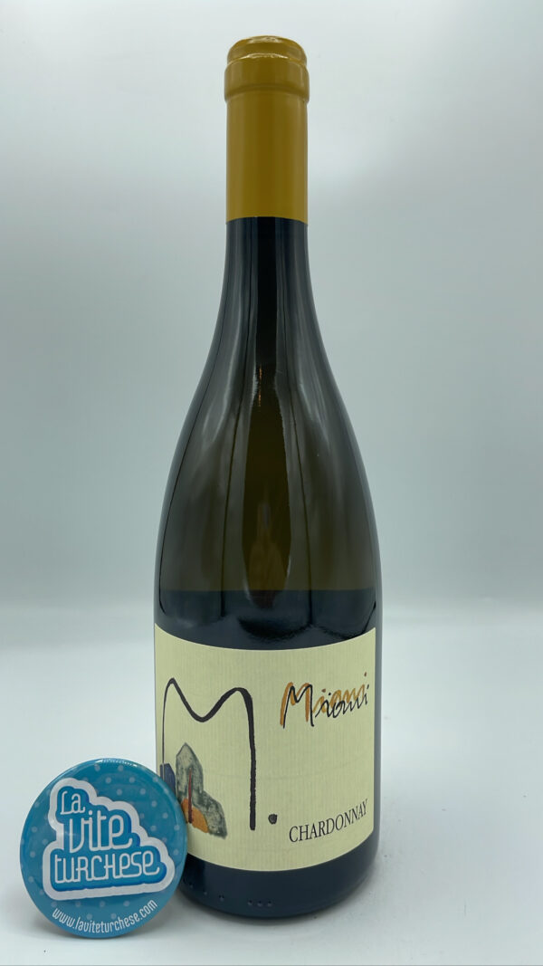 Miani – Chardonnay Friuli Colli Orientali vinificato con lieviti indigeni in barrique usate, invecchiato per 12 mesi nelle stesse botti.