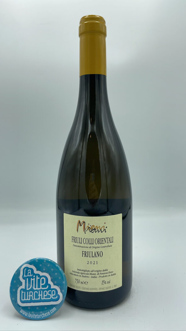 Miani – Friulano Filip – 2021 - back Miani - Friulano Filip produced in Friuli Venezia Giulia, vinified with indigenous yeasts in barriques, aged in the same barrels for 1 year.