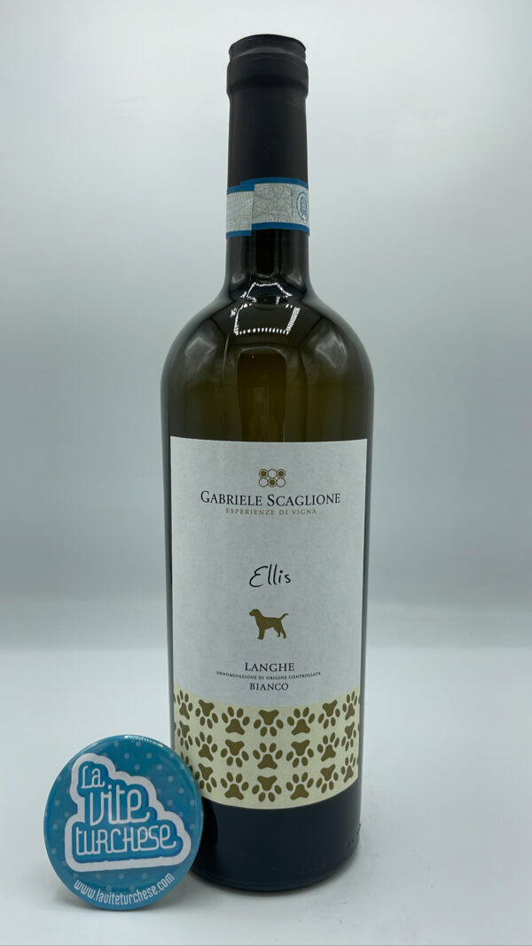Gabriele Scaglione – Ellis Langhe Bianco prodotto con uva Arneis e Chardonnay nel Roero e nelle Langhe, vinificato in parte in acciaio e in barrique.