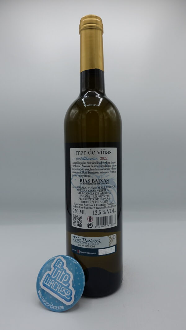 Adegas Gran Vinum - Mar de Viñas Albariño -2022 - back Adegas Gran Vinum - Mar de Viñas Albariño produced in Rias Baixa in spain with vineyards facing the Atlantic Ocean. Vinified in steel.
