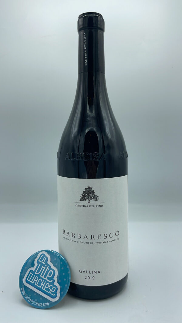 Cantina del Pino – Barbaresco Gallina prodotto nella migliore vigna di Neive, esposta a sud, vinificato per 24 mesi in botti grandi. 2000 bottiglie prodotte