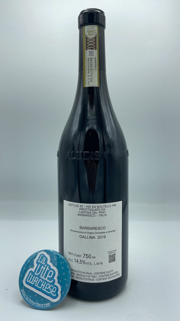 Cantina del Pino - Barbaresco Gallina produced in Neive's best south-facing vineyard, vinified for 24 months in large barrels. 2000 bottles made.