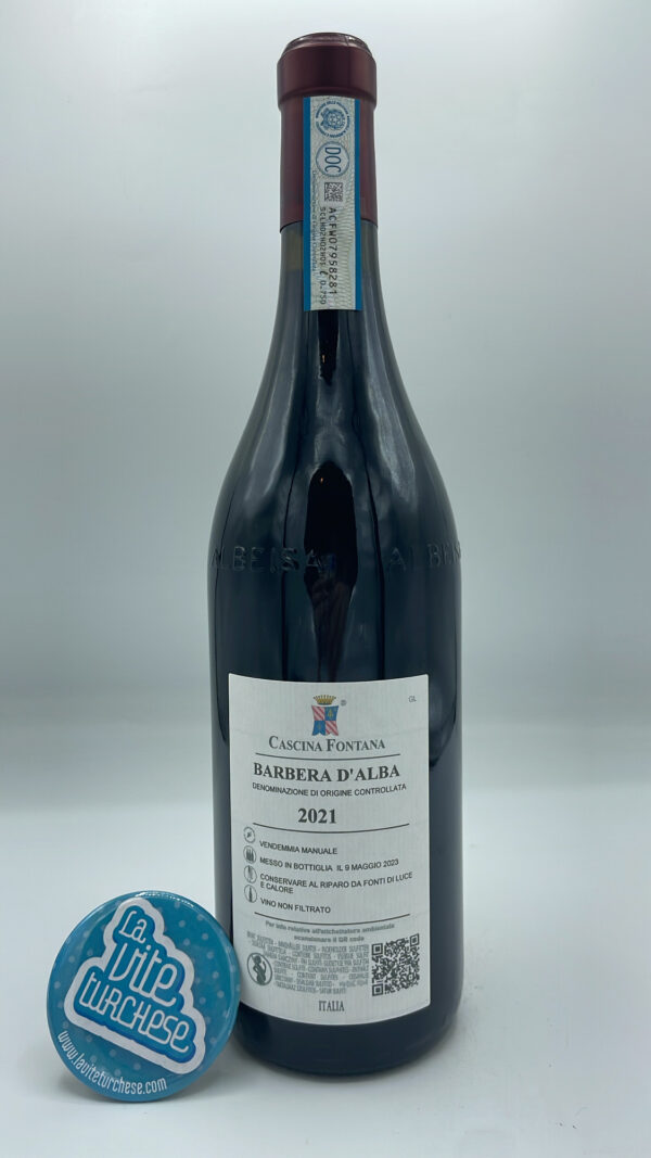 Cascina Fontana - Barbera d'Alba produced between the towns of Sinio and Castiglione Falletto, aged in small barrels and concrete tanks.