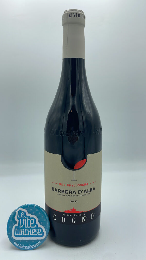 Elvio Cogno - Barbera d'Alba Pre-Phylloxera produced from 100-year-old vines in the Berri hamlet of La Morra on a free-range basis. 2000 bottles produced.