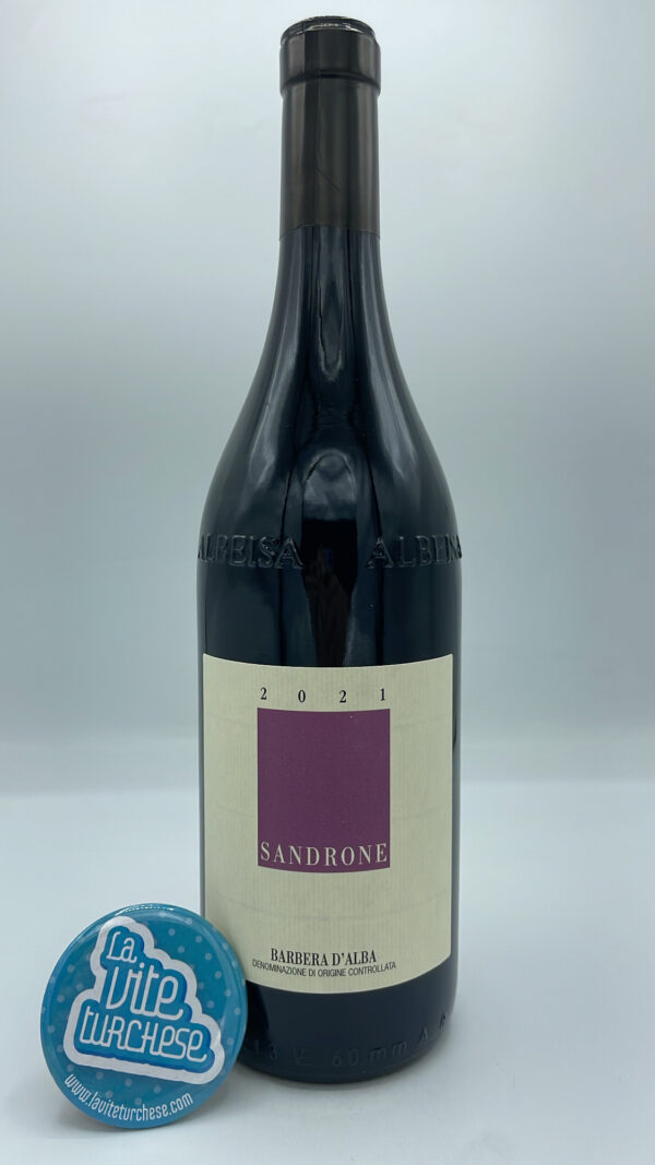Sandrone – Barbera d'Alba prodotto con diverse vigne tra Barolo, Novello e Monforte. Il vino ha svolto l'affinamento in tonneaux in parte nuovo.