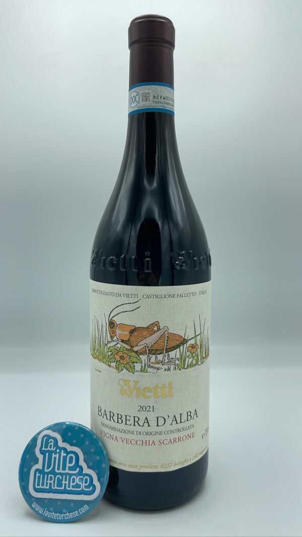 Vietti - Barbera d'Alba Vigna Vecchia Scarrone produced in the vineyard of the same name located in Castiglione Falletto with 100-year-old plants.