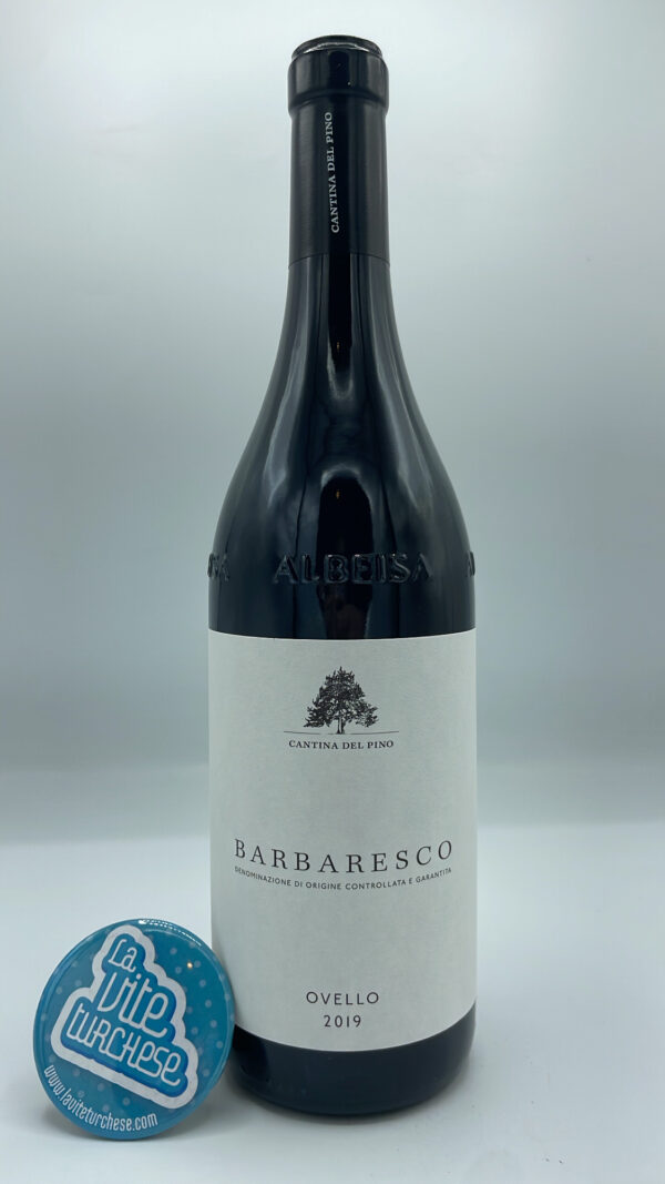 Cantina del Pino - Barbaresco Ovello produced in the vineyard of the same name located in Barbaresco, 6000 bottles, aged for 24 months in large barrels.