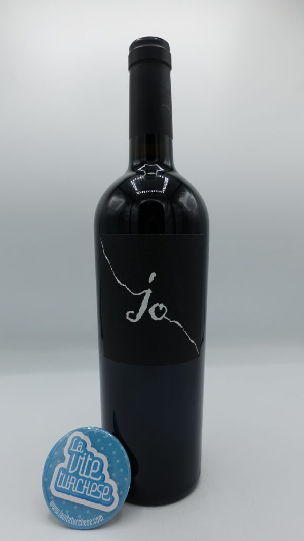 Gianfranco Fino - JO Salento Negroamaro produced in the Manduria area with 40-year-old plants, aged for 12 months in barriques ( 50% new ).