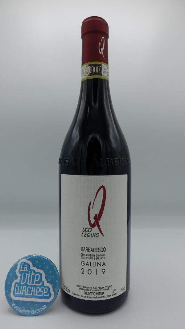 Ugo Lequio - Barbaresco Gallina produced in the vineyard of the same name located in Neive, with 70-year-old plants, aged for 18 months in large barrels.