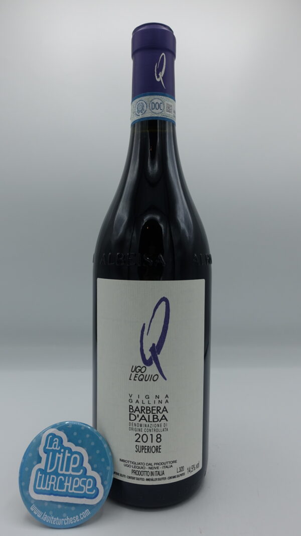 Ugo Lequio – Barbera d'Alba Superiore Vigna Gallina prodotto nell'omonima vigna situata a Neive con piante di 50 anni di media. 3000 bottiglie.