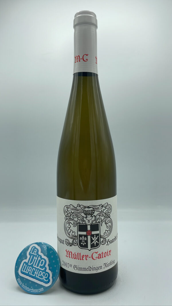 Muller-Catoir - Riesling Gimmeldingen Kabinett produced in the village of the same name in the Palatinate, considered one of the most qualitative due to the altitude of the vineyards.