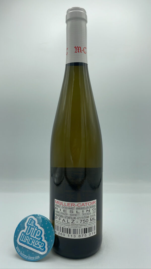 Muller-Catoir - Riesling Gimmeldingen Kabinett produced in the village of the same name in the Palatinate, considered one of the most qualitative due to the altitude of the vineyards.