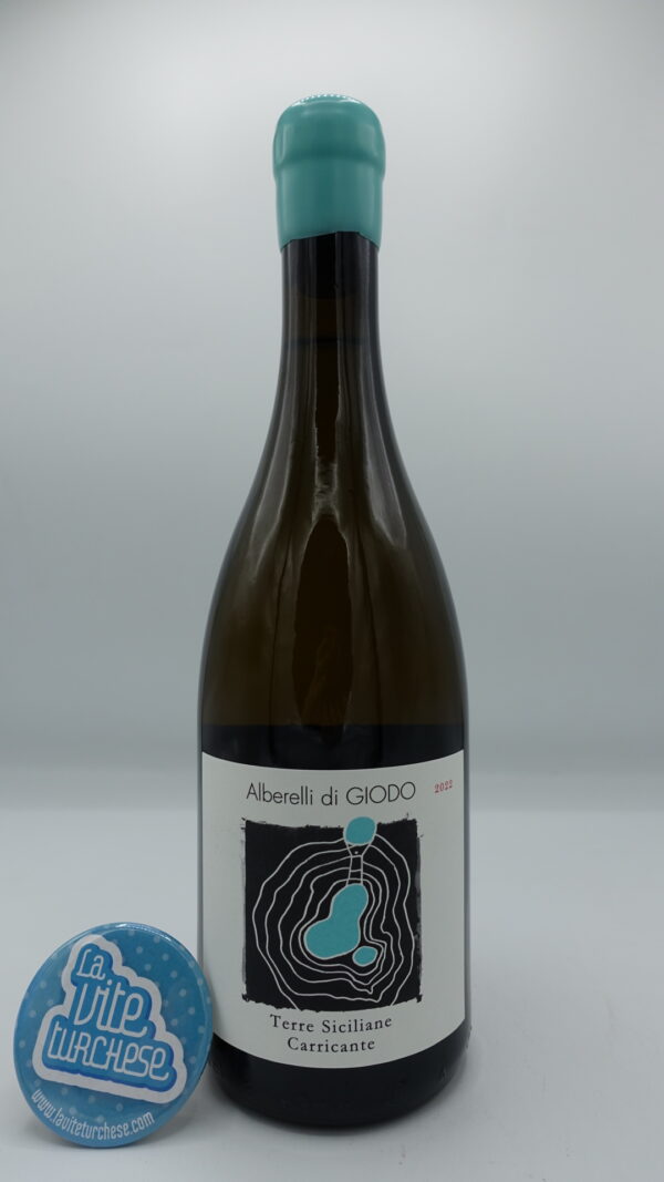 Alberelli di Giodo - Carricante Terre Siciliane produced from 50-year-old plants at 900 meters on Etna, in only 2,500 bottles.