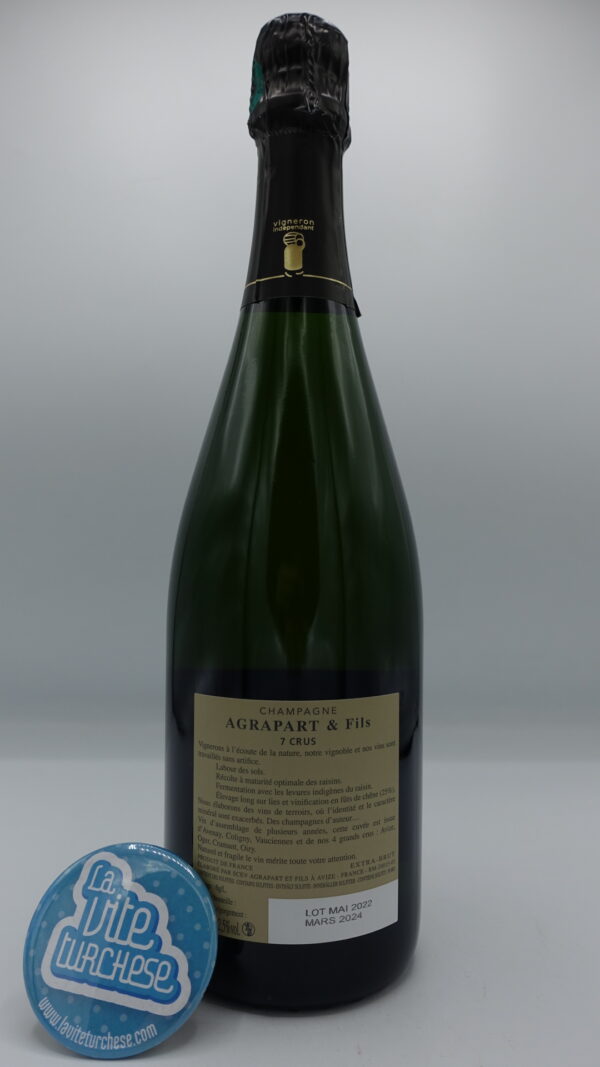 Agrapart & Fils - Champagne 7 Crus Extra Brut - back (1) Agrapart & Fils - Champagne 7 Crus Extra Brut made from 7 vineyards including 4 Grand Cru in the cote de Blanc, 24 months on the lees.
