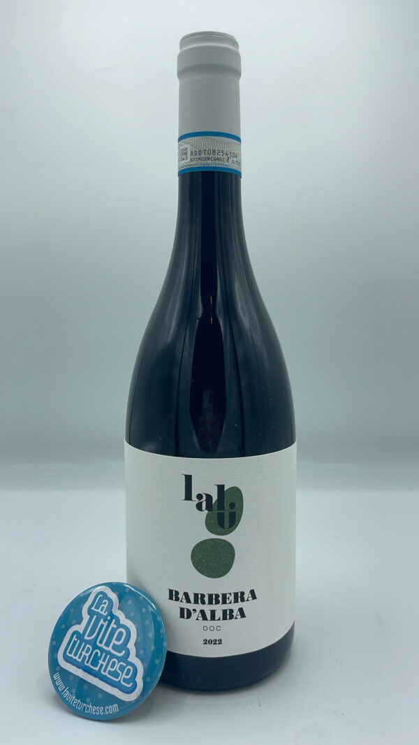 Lalu' - Barbera d'Alba - 2022 produced in the San Sebastiano hamlet of Monforte d'Alba in 2000 bottles, aged in cement and barrique.