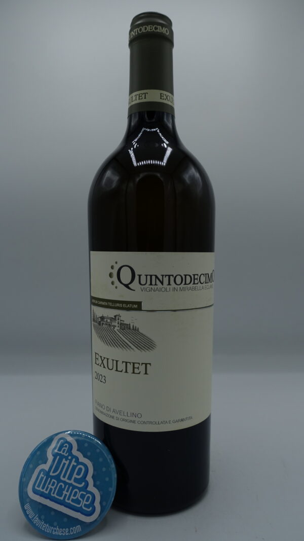 Quintodecimo - Exultet Fiano di Avellino produced in the same single vineyard with Fiano grapes, 30% vinified in barrique. 31000 bottles produced.