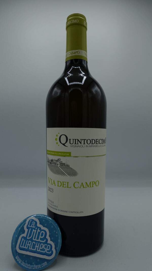 Quintodecimo - Via del Campo Irpinia Falanghina produced in 26500 bottles in a single plot in Mirabella Eclano, aged on fine lees for 8 months