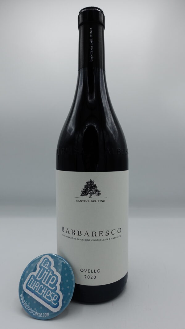 Cantina del Pino - Barbaresco Ovello produced in the vineyard of the same name located in Barbaresco, 6000 bottles, aged for 24 months in large barrels.