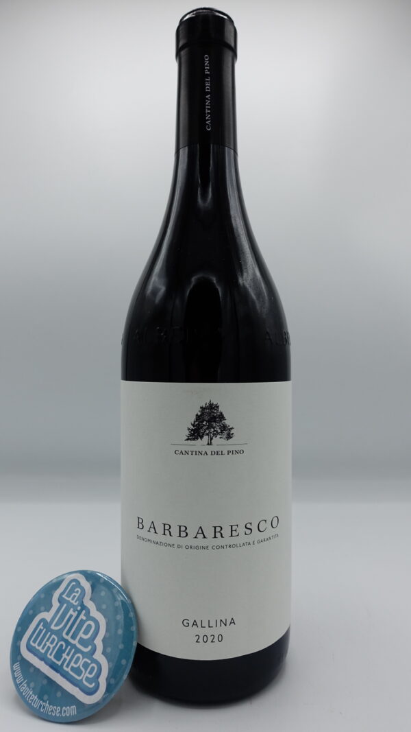 Cantina del Pino - Barbaresco Gallina produced in Neive's best south-facing vineyard, vinified for 24 months in large barrels. 2000 bottles made.