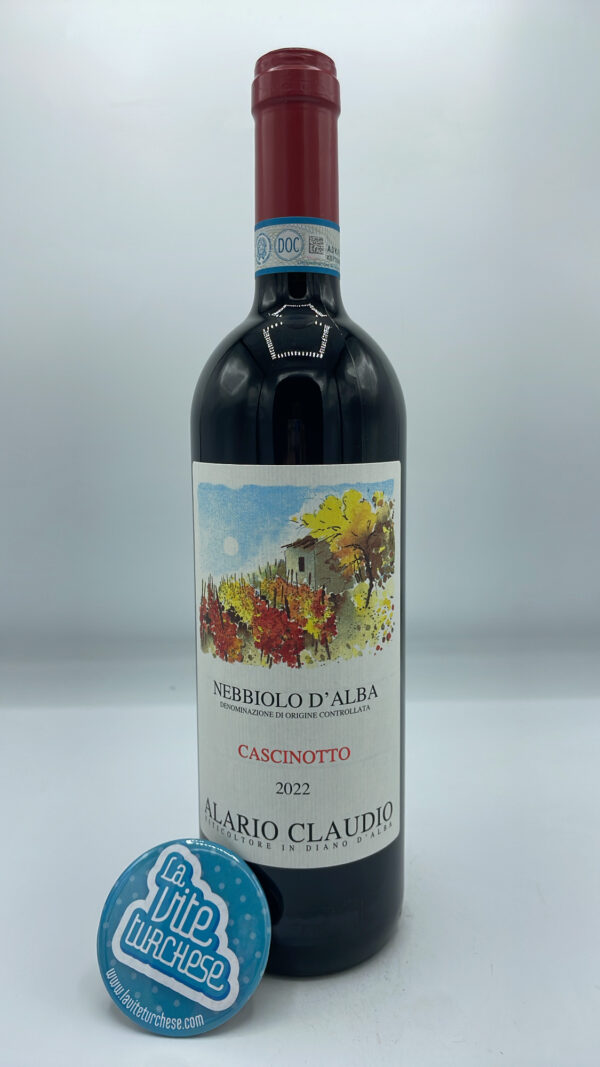 Claudio Alario – Nebbiolo d'Alba Cascinotto prodotto nella vigna singola a Diano d'Alba, invecchiato per 2 anni in barrique.