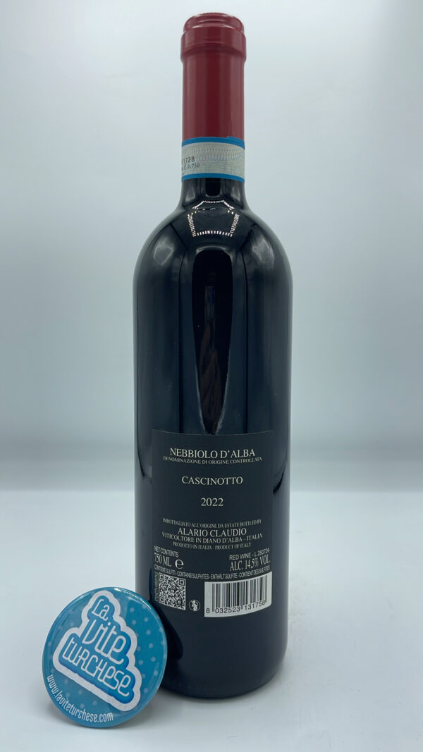 Claudio Alario – Nebbiolo d'Alba Cascinotto – 2022 - back Claudio Alario – Nebbiolo d'Alba Cascinotto prodotto nella vigna singola a Diano d'Alba, invecchiato per 2 anni in barrique.
