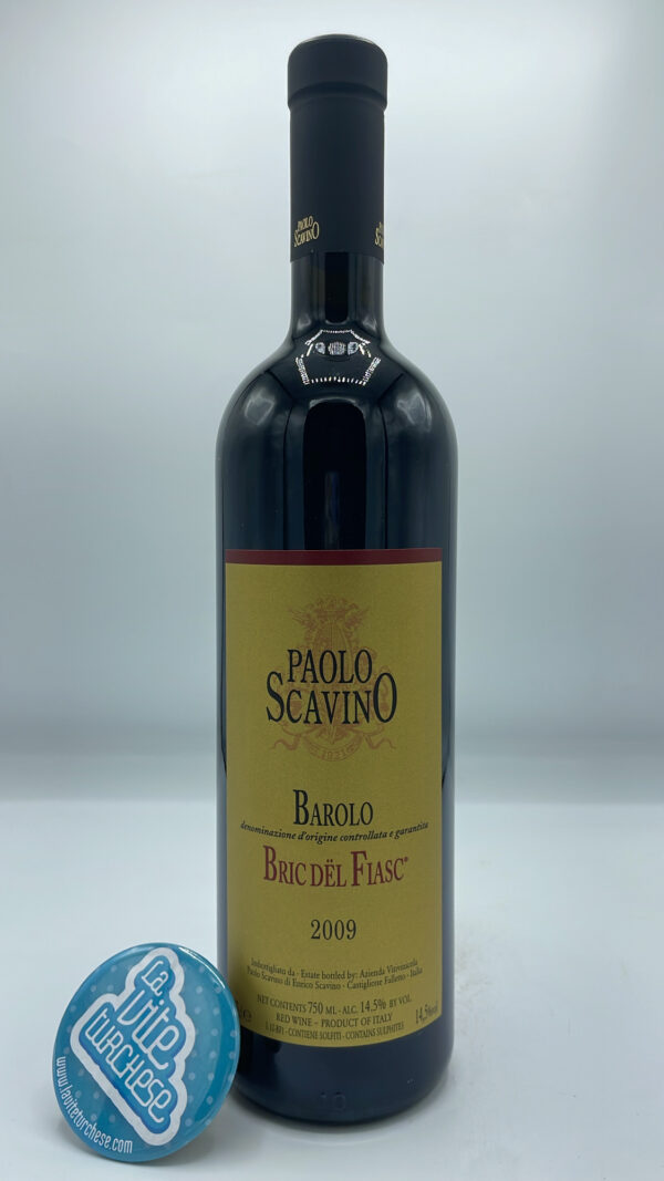 Paolo Scavino - Barolo Bric del Fiasc produced in the vineyard of the same name in Castiglione Falletto, a historic cru of the winery.