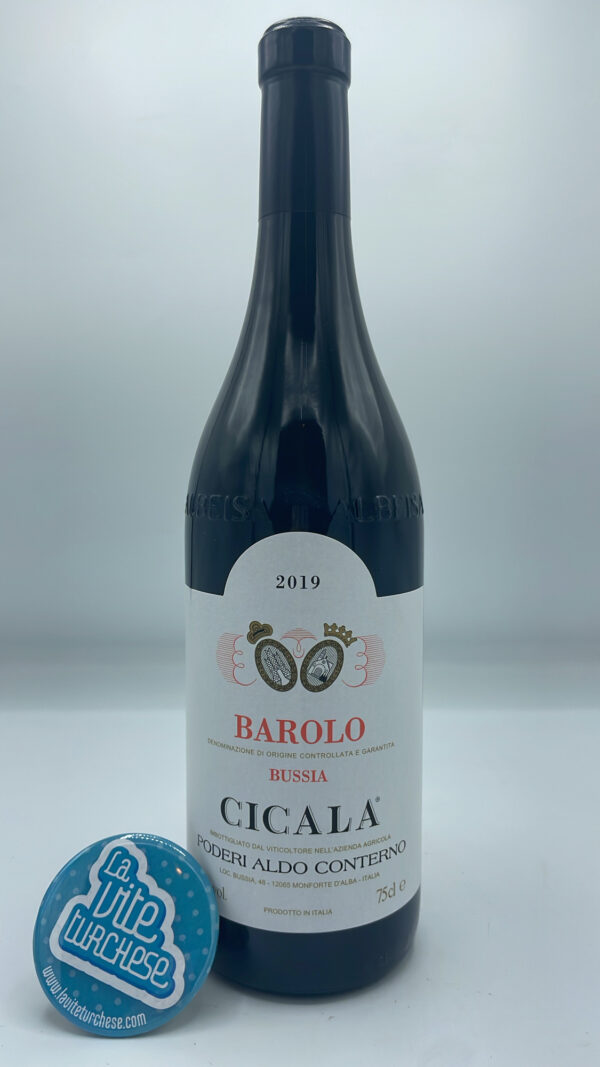 Poderi Aldo Conterno - Barolo Bussia Cicala prodotto nell'omonima vigna con suoli argillosi e piante di 40 anni. 30 mesi di invecchiamento in rovere.